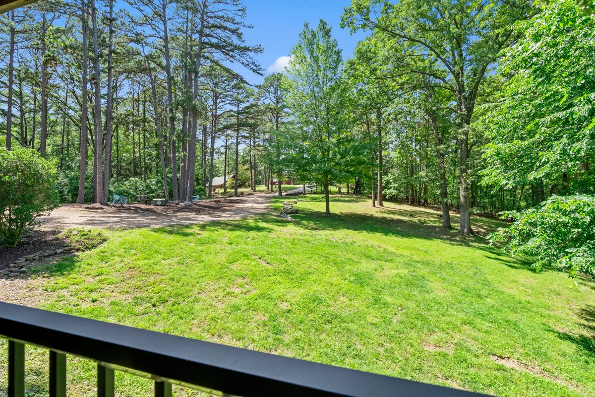 An expansive outdoor lawn bordered by tall trees and lush greenery, with a comfortable seating area in the open. The landscape offers abundant space for pets to play fetch, run around, or relax with their owners. The overall mood is relaxed and family-friendly, surrounded by nature.
